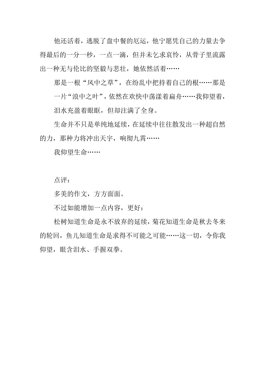 仰望生命.docx_第2页