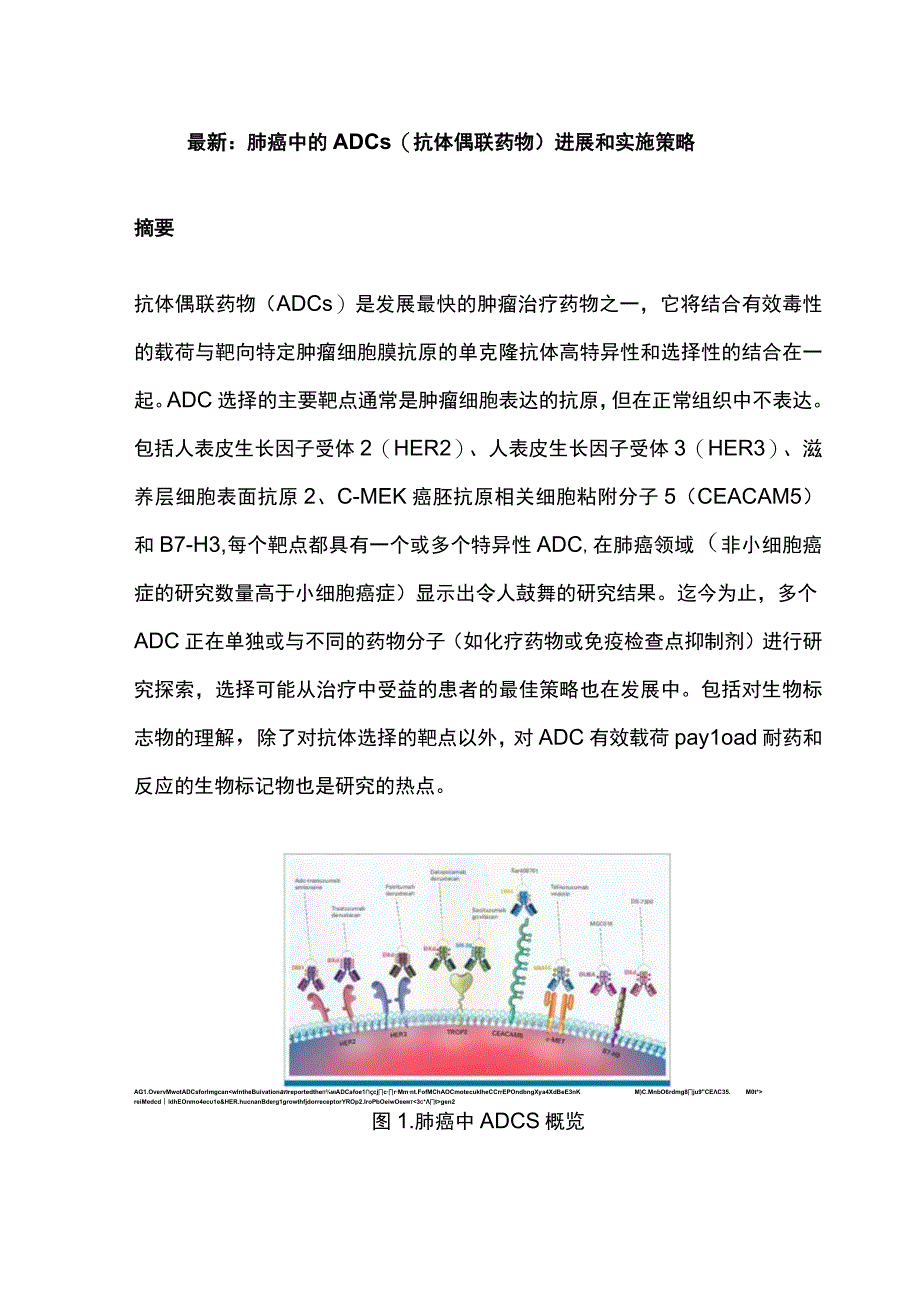 最新：肺癌中的ADCs（抗体偶联药物）进展和实施策略.docx_第1页