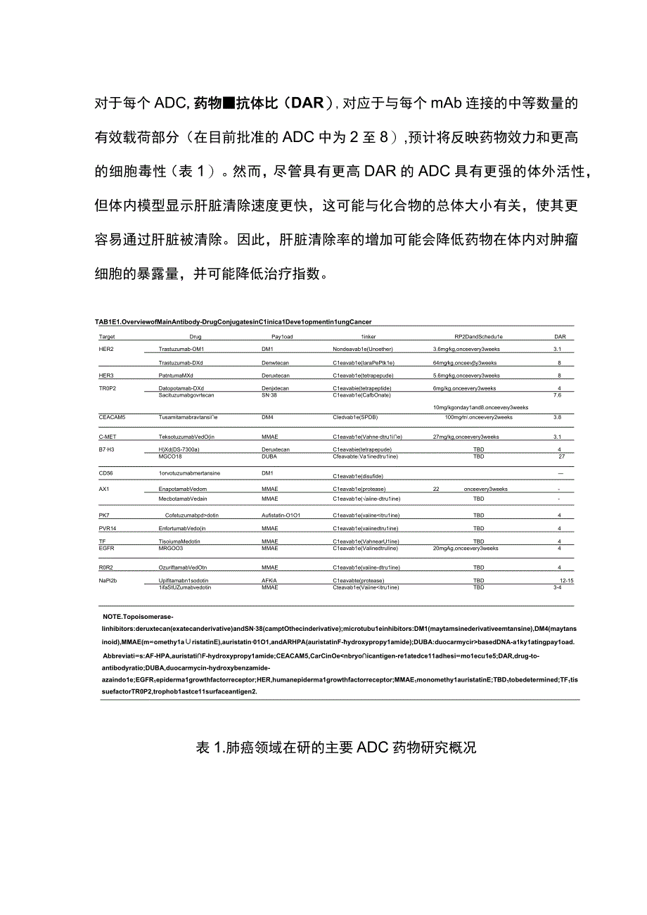 最新：肺癌中的ADCs（抗体偶联药物）进展和实施策略.docx_第2页