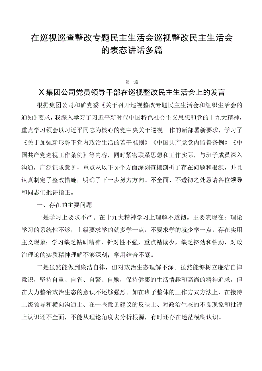 在巡视巡查整改专题民主生活会巡视整改民主生活会的表态讲话多篇.docx_第1页