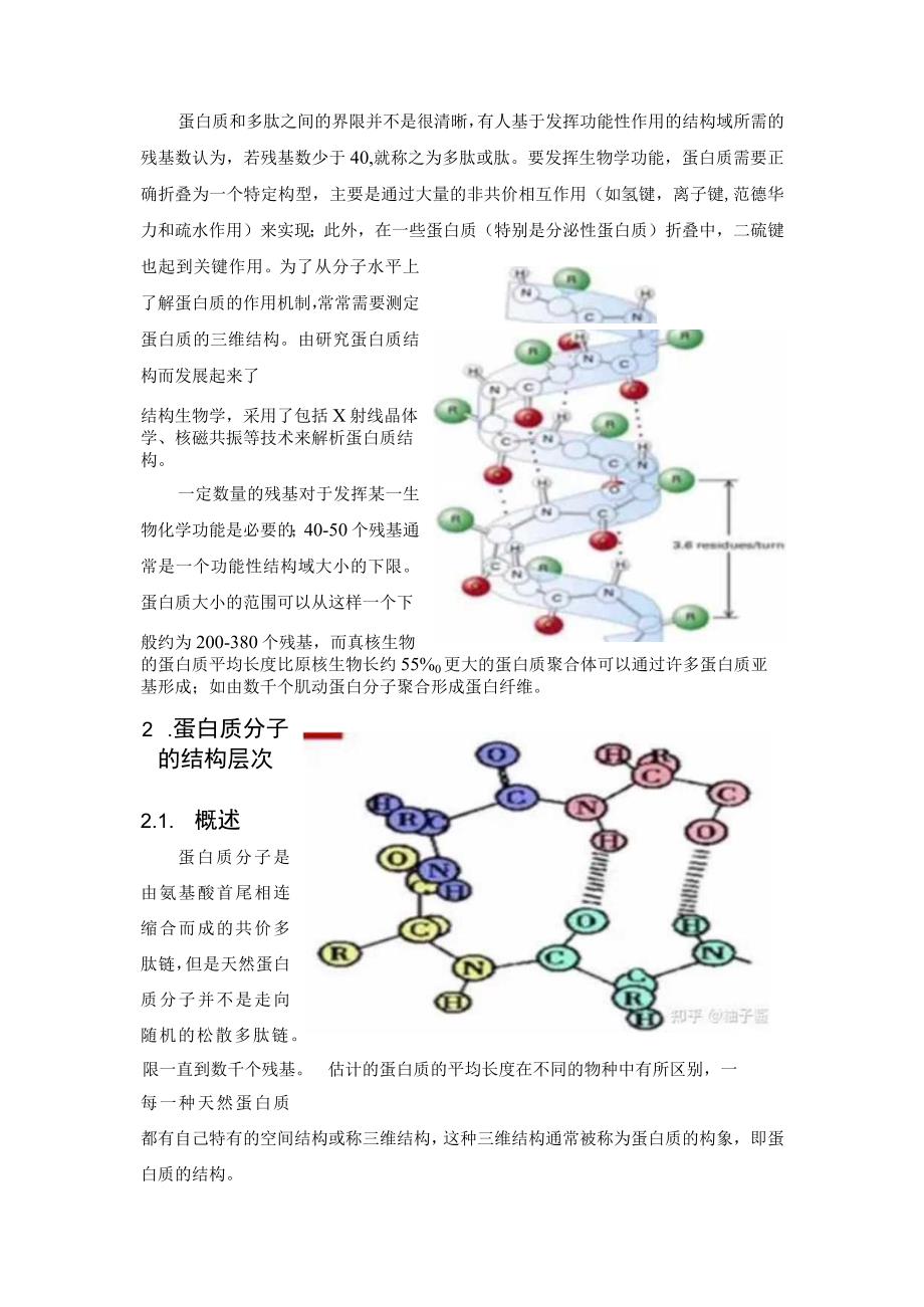 蛋白质分子的结构与功能.docx_第2页