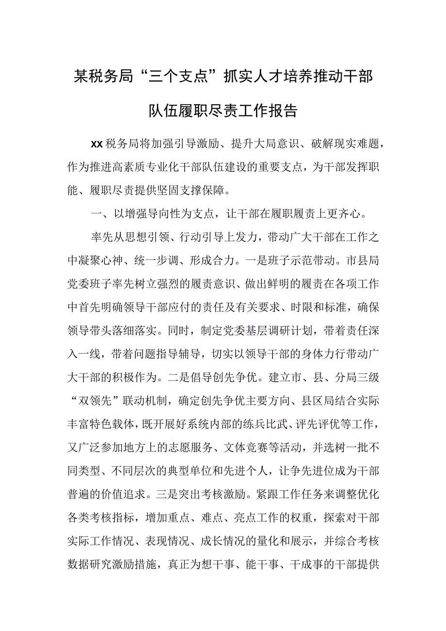 某税务局“三个支点”抓实人才培养推动干部队伍履职尽责工作报告.docx_第1页