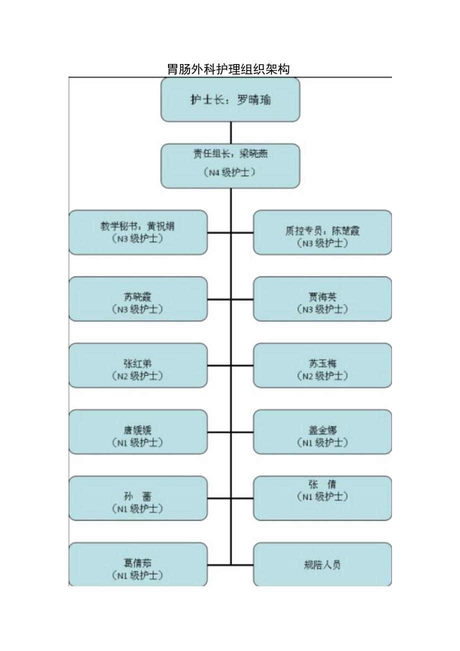 胃肠外科护理工作职责.docx_第2页