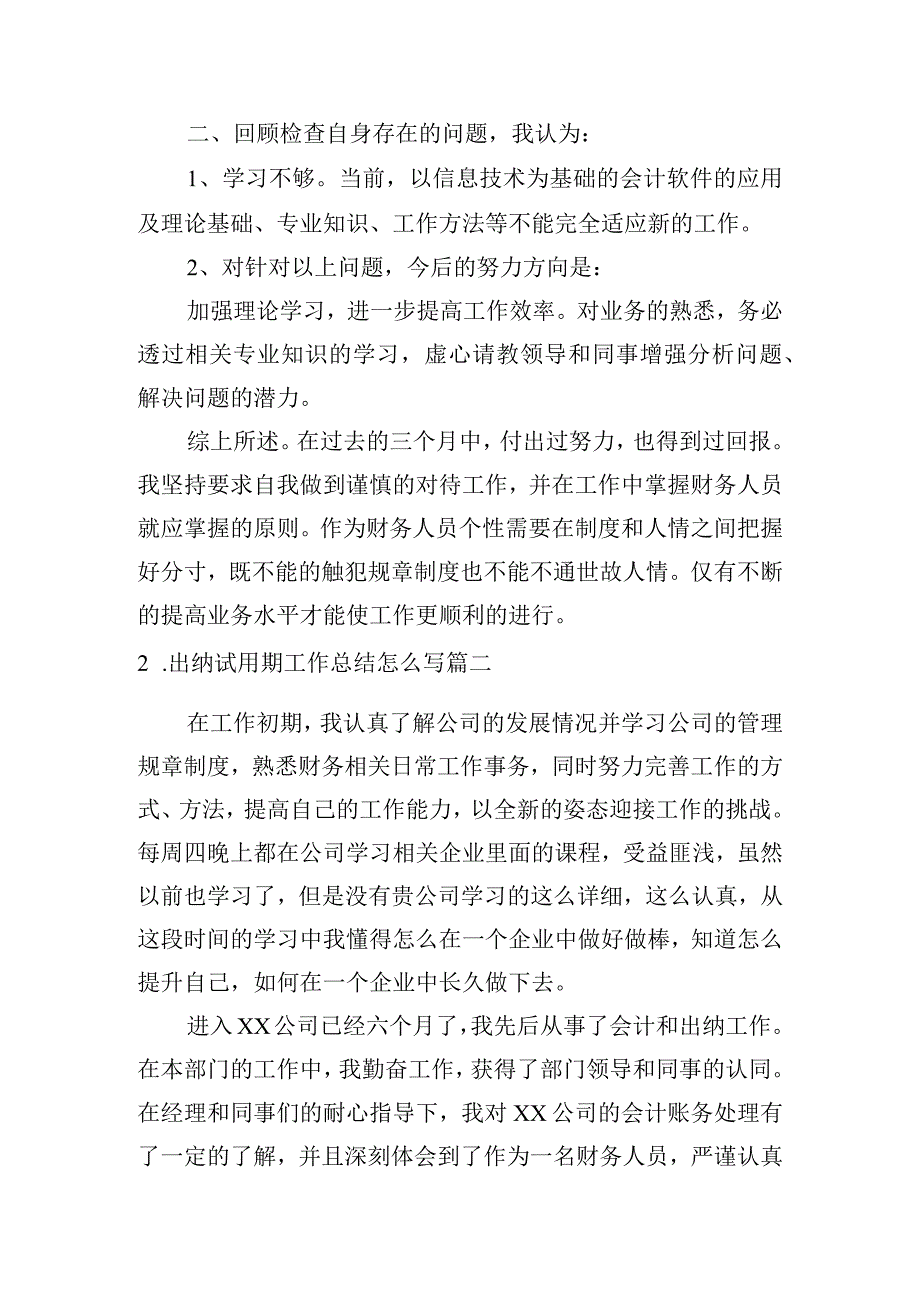 出纳试用期工作总结怎么写（范文10篇）.docx_第2页