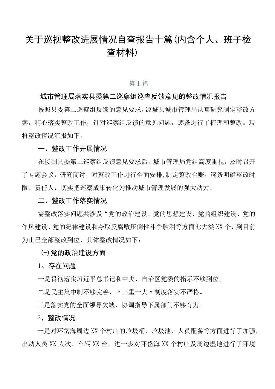 关于巡视整改进展情况自查报告十篇.docx_第1页