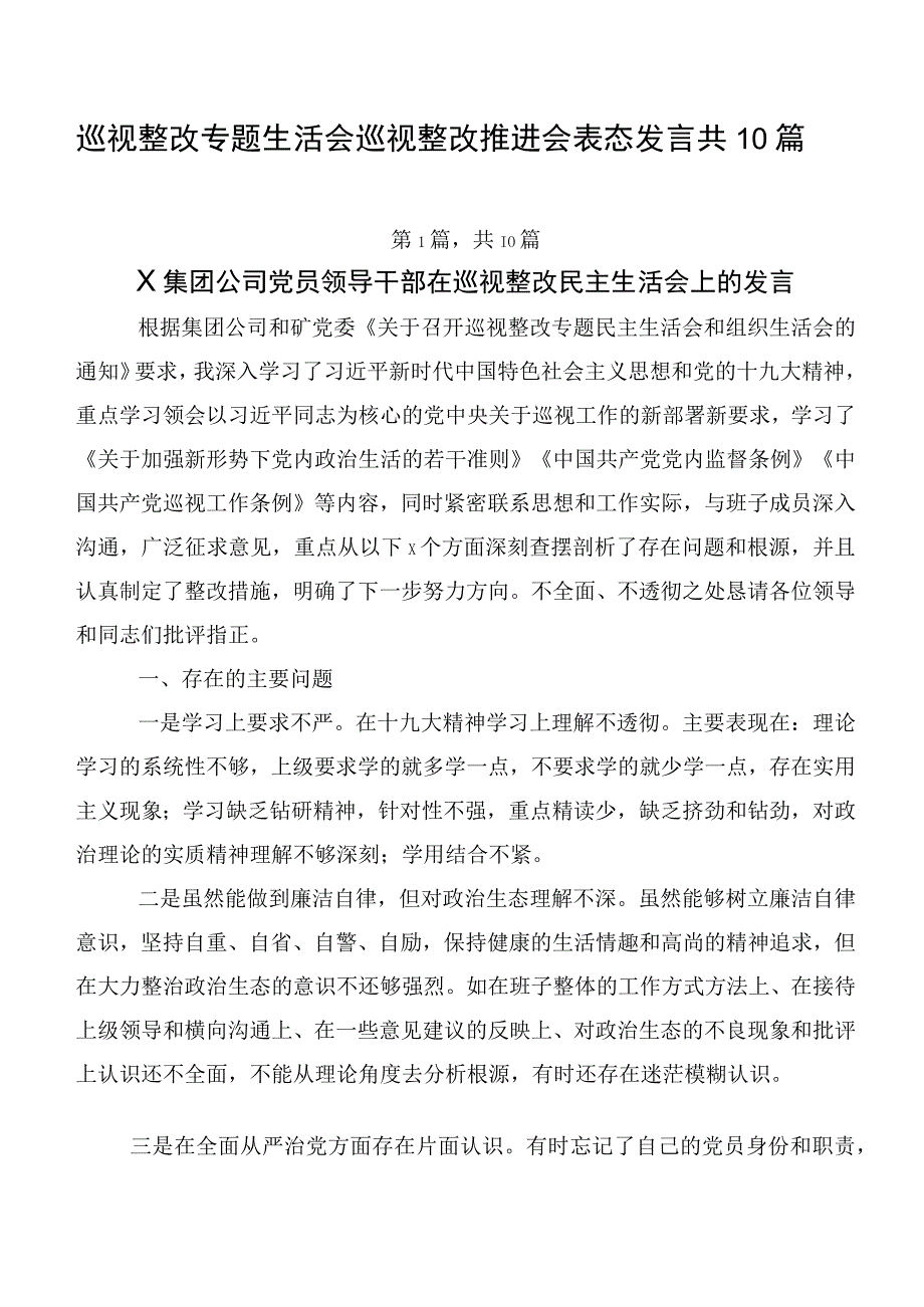 巡视整改专题生活会巡视整改推进会表态发言共10篇.docx_第1页