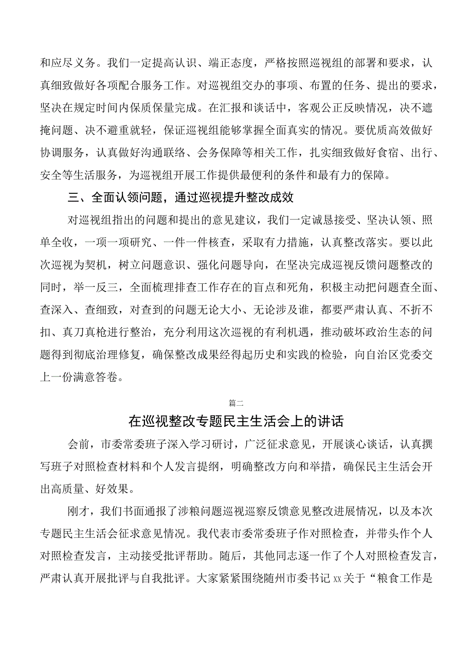 （10篇）关于开展巡视整改及警示教育专题民主生活会巡视巡查整改工作动员会上的发言.docx_第2页