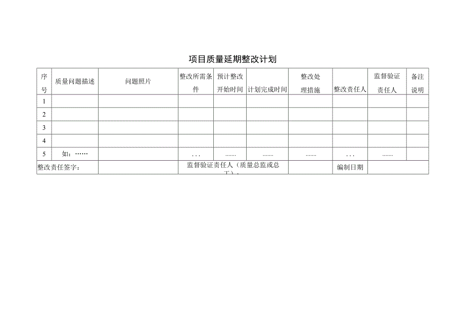 项目质量延期整改计划.docx_第1页