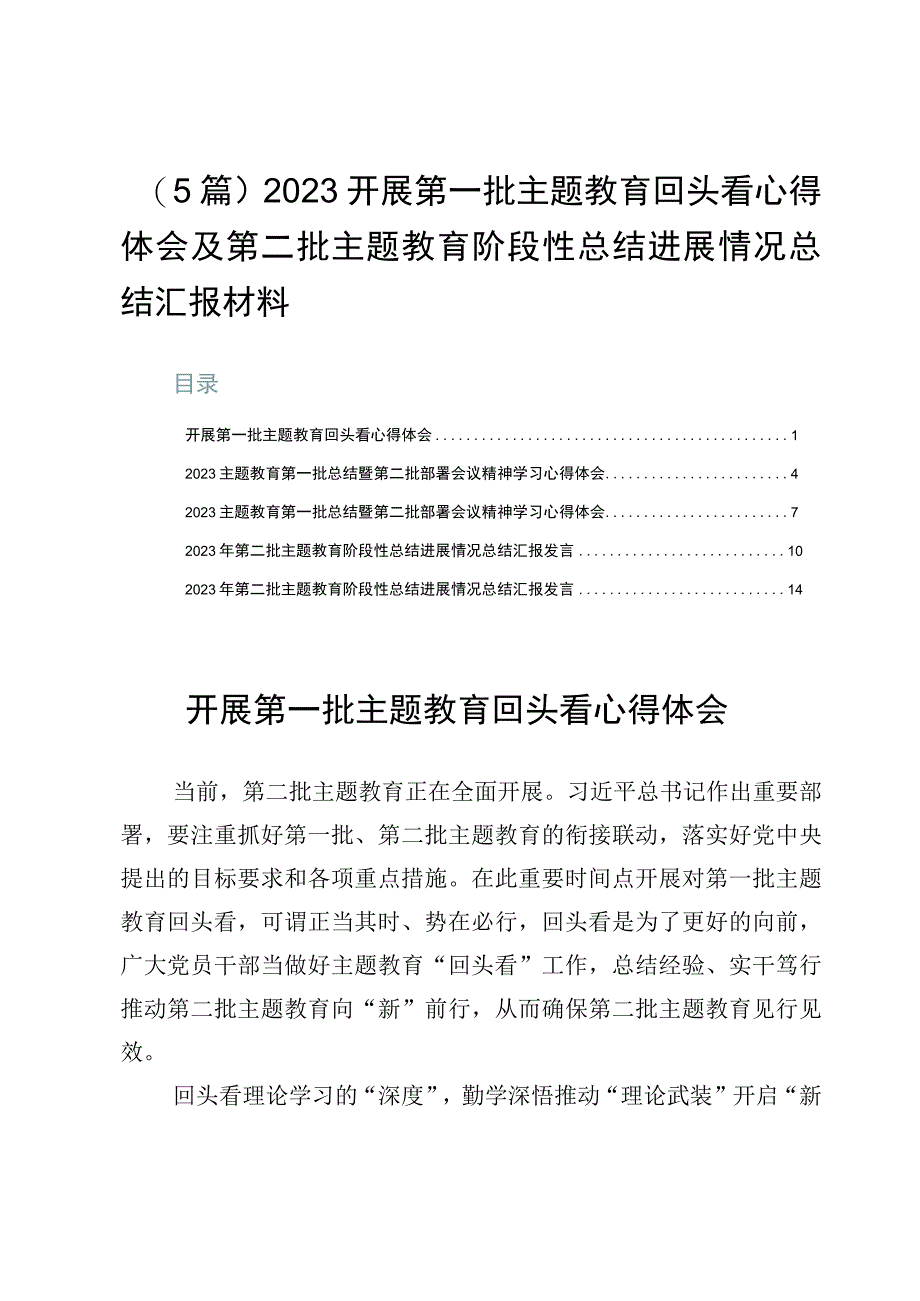 （5篇）2023开展第一批主题教育回头看心得体会及第二批主题教育阶段性总结进展情况总结汇报材料.docx_第1页