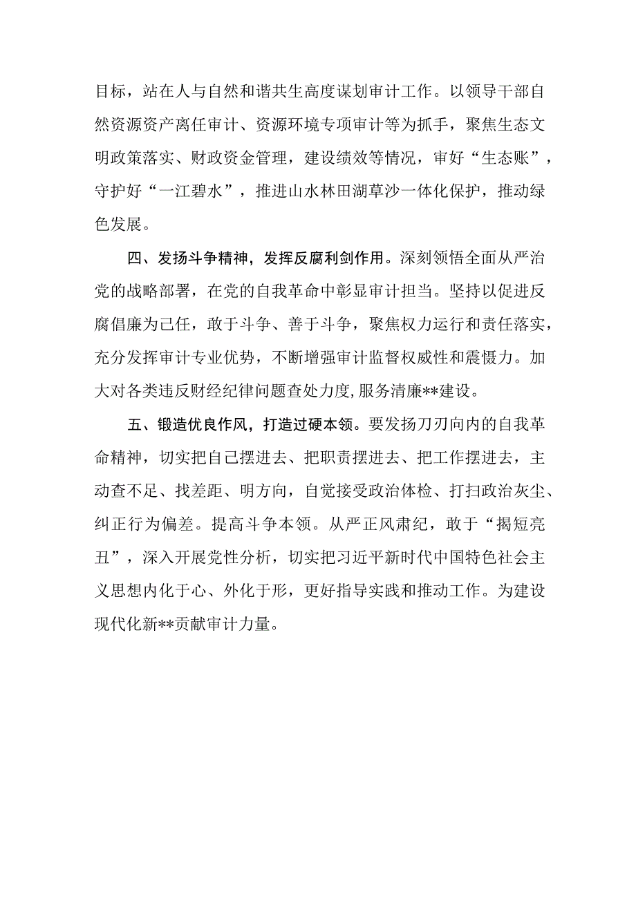 （9篇）审计局党员干部2023第二批主题教育专题读书班上研讨发言心得体会材料.docx_第3页