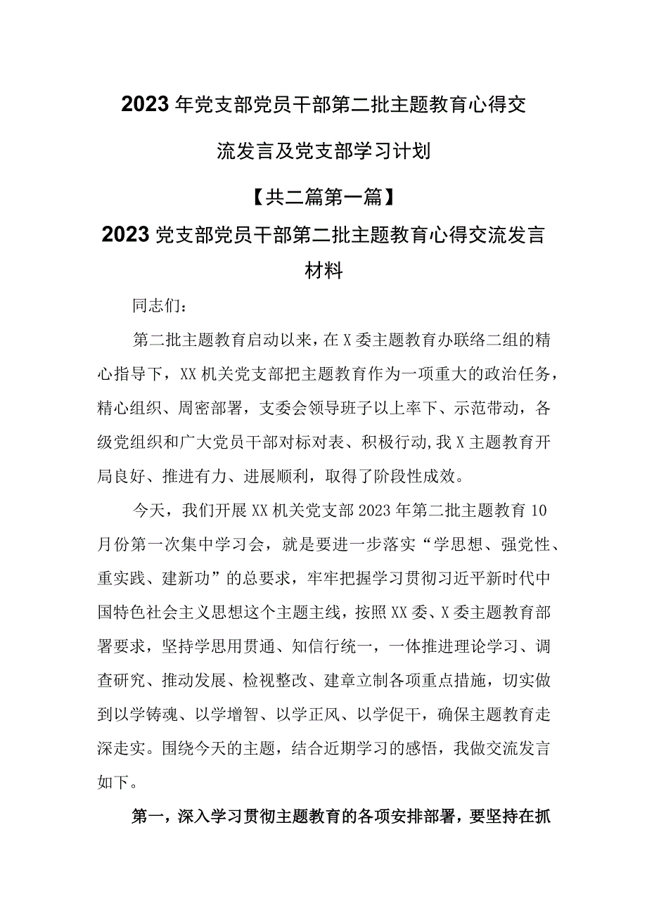 （2篇）2023年党支部党员干部第二批主题教育心得交流发言及党支部学习计划.docx_第1页