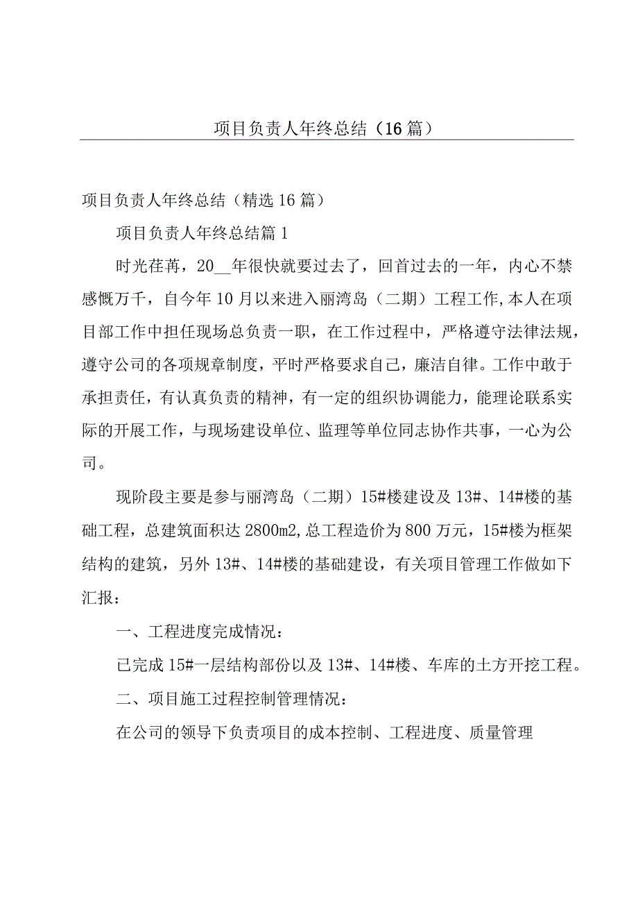 项目负责人年终总结（16篇）.docx_第1页