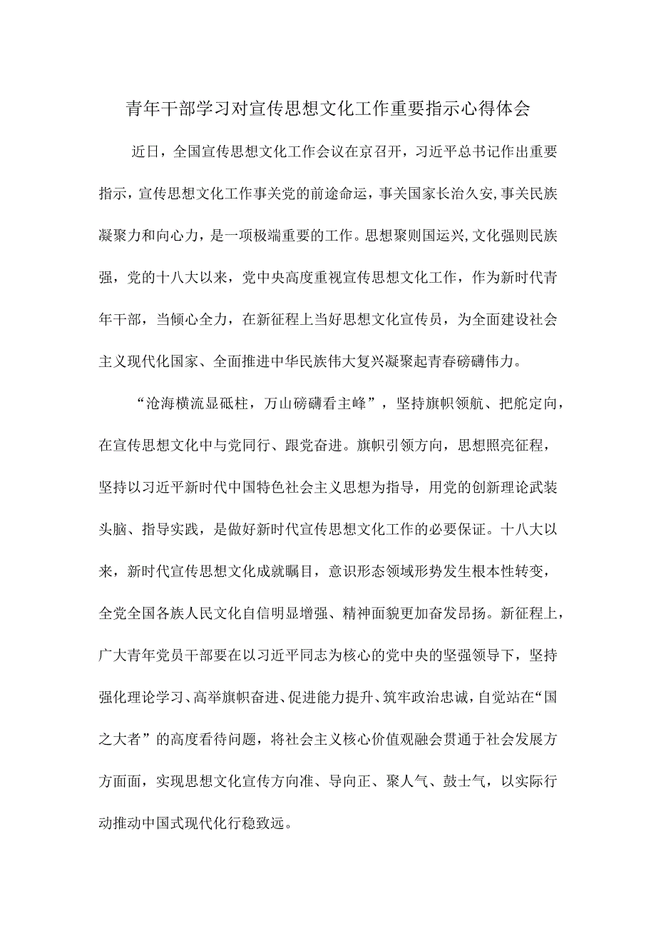 青年干部学习对宣传思想文化工作重要指示心得体会.docx_第1页