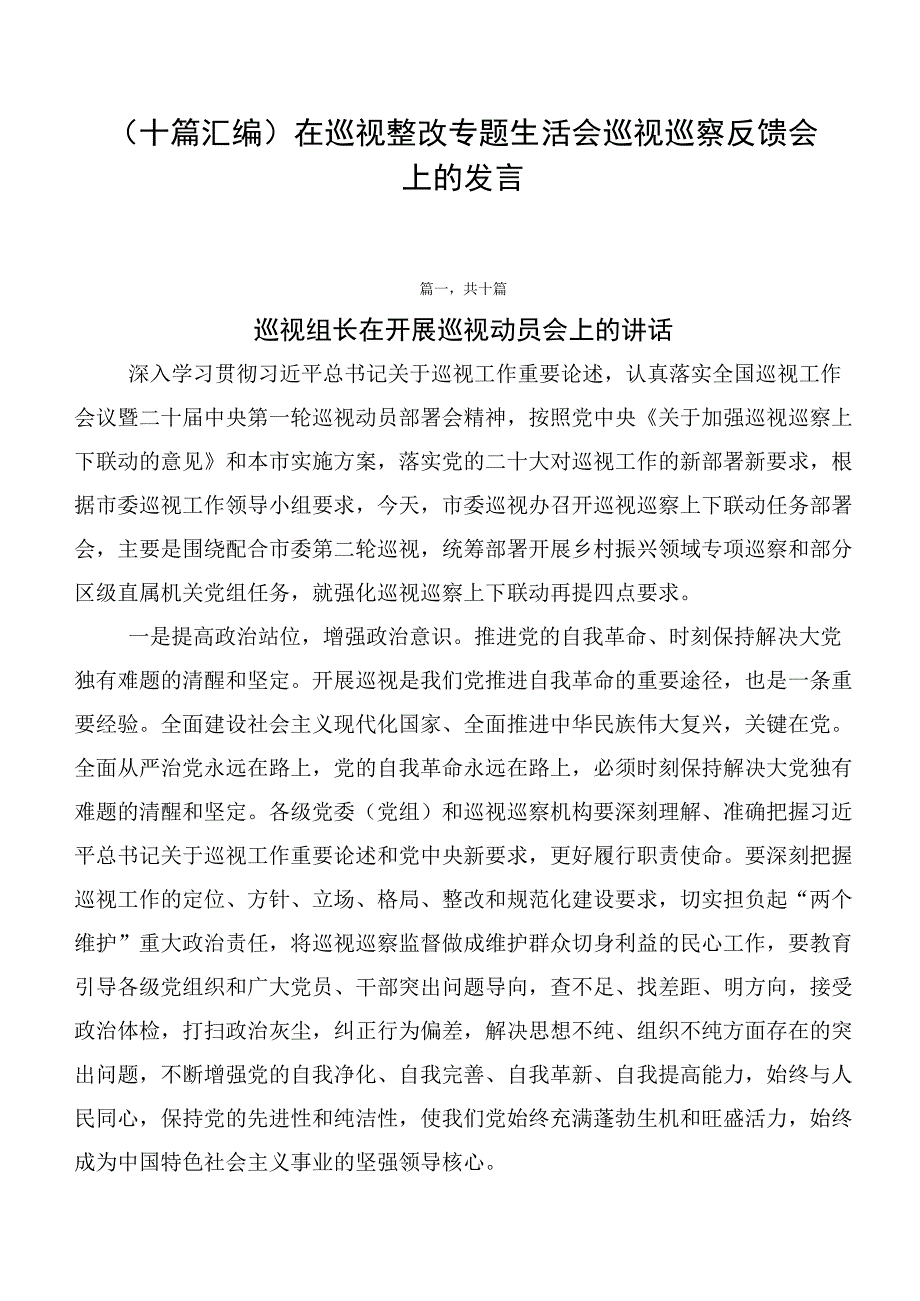 （十篇汇编）在巡视整改专题生活会巡视巡察反馈会上的发言.docx_第1页