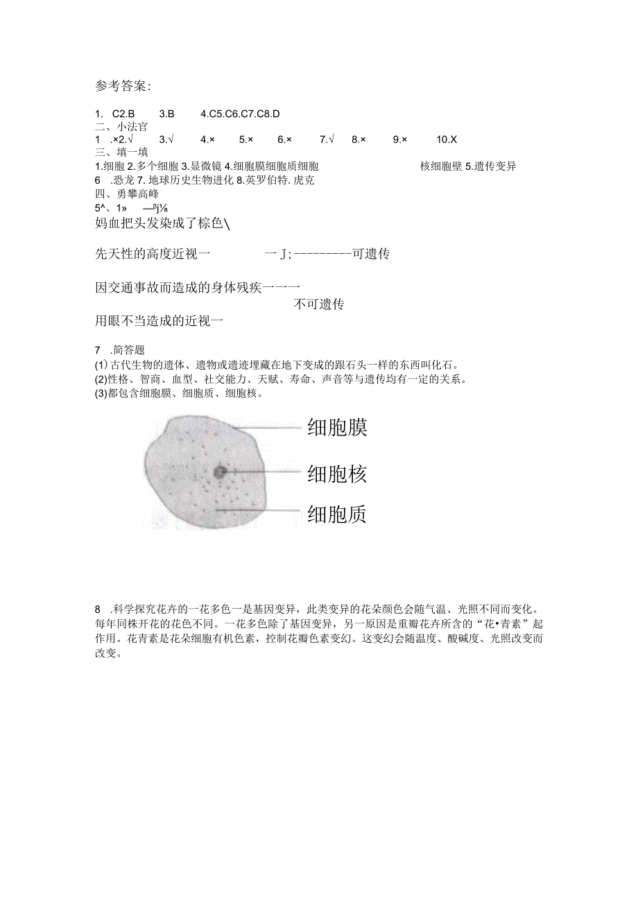 青岛版（六三制）六年级科学上册第一单元遗传和变异测试卷（B）（含答案).docx_第3页