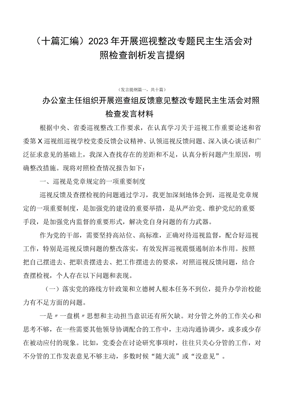 （十篇汇编）2023年开展巡视整改专题民主生活会对照检查剖析发言提纲.docx_第1页