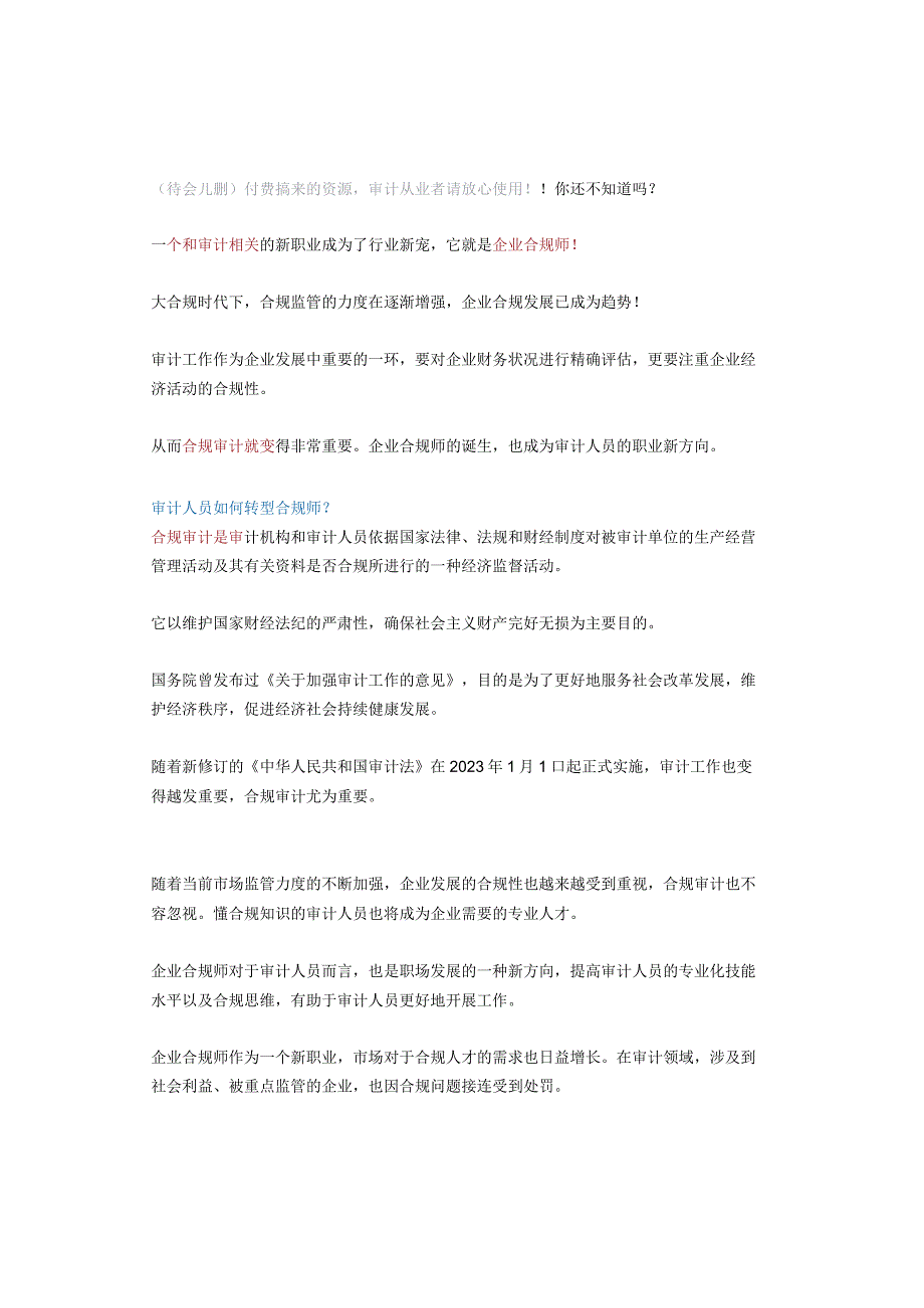 （待会儿删）付费搞来的资源审计从业者请放心使用！！.docx_第1页