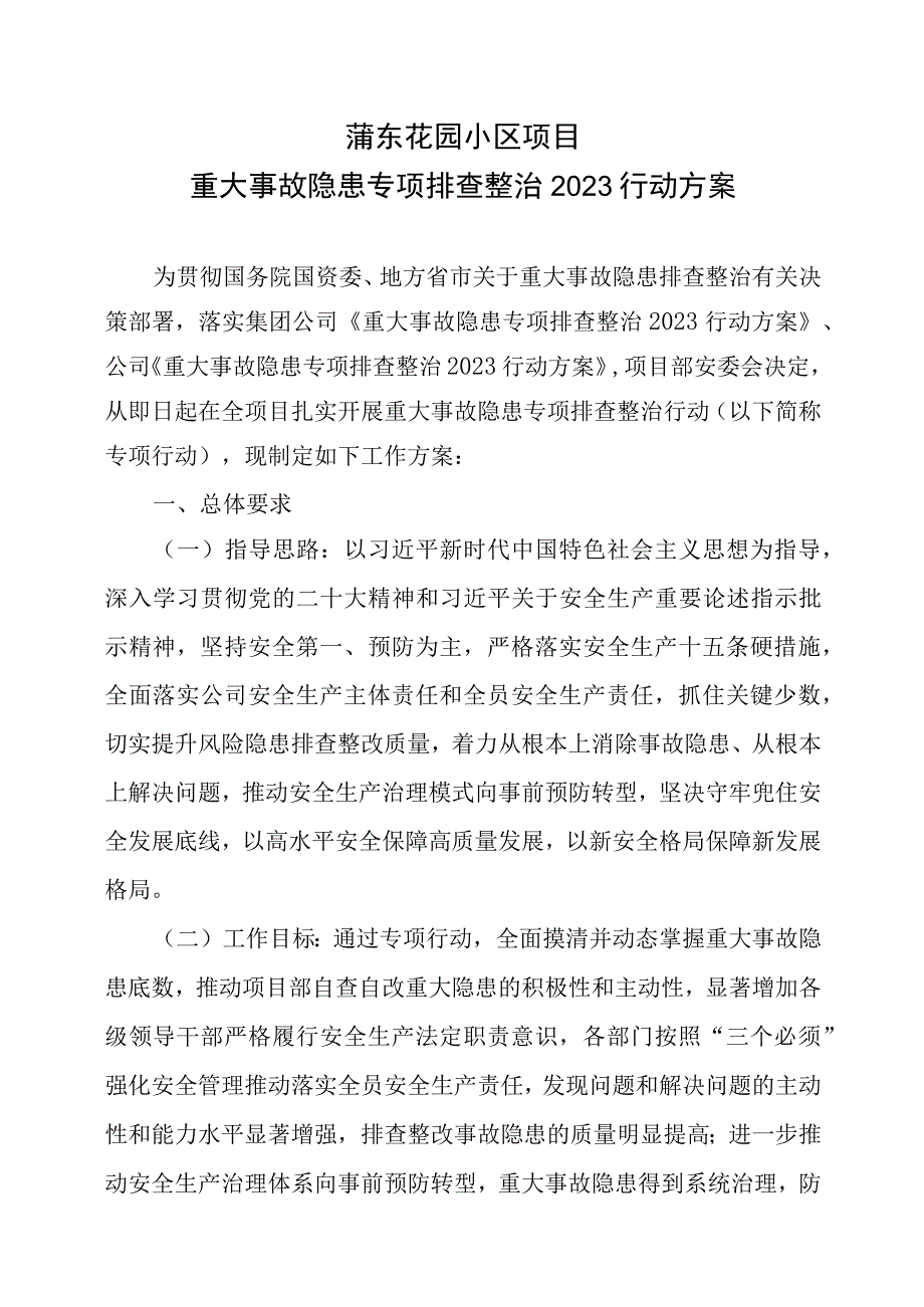 项目部重大事故隐患专项排查整治2023行动方案》.docx_第1页