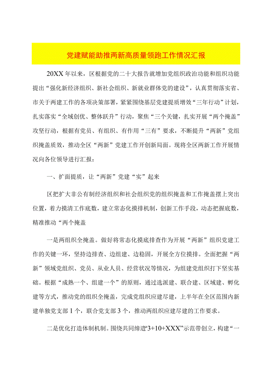 党建赋能助推两新高质量领跑工作情况汇报.docx_第1页