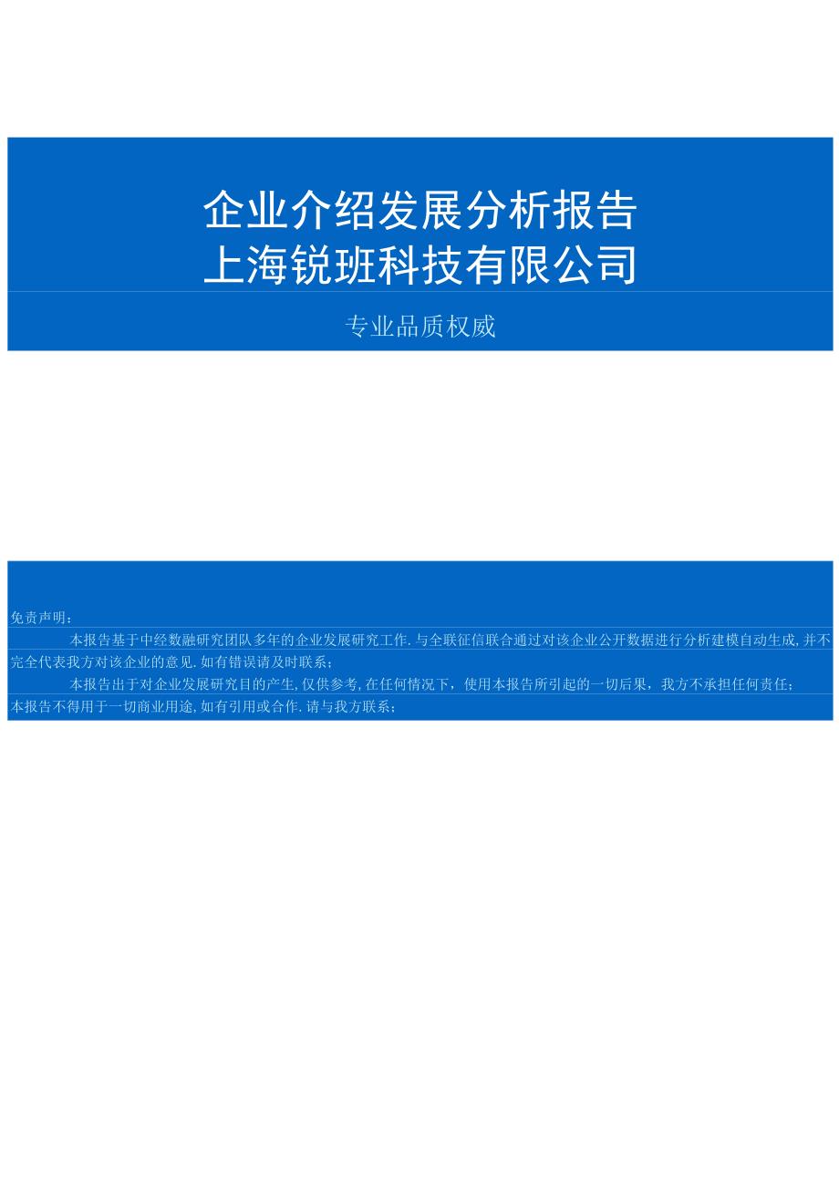 上海锐玡科技有限公司介绍企业发展分析报告.docx_第1页