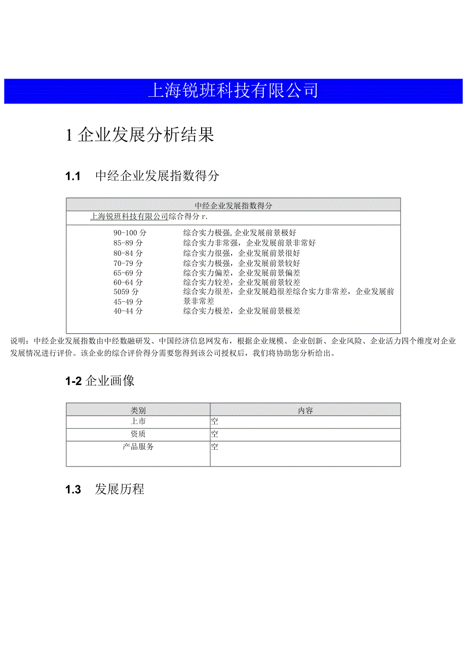 上海锐玡科技有限公司介绍企业发展分析报告.docx_第2页