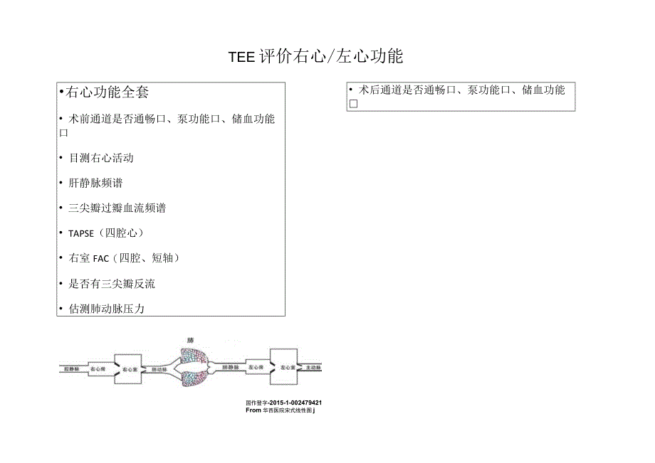 TEE评价左右心功能.docx_第1页