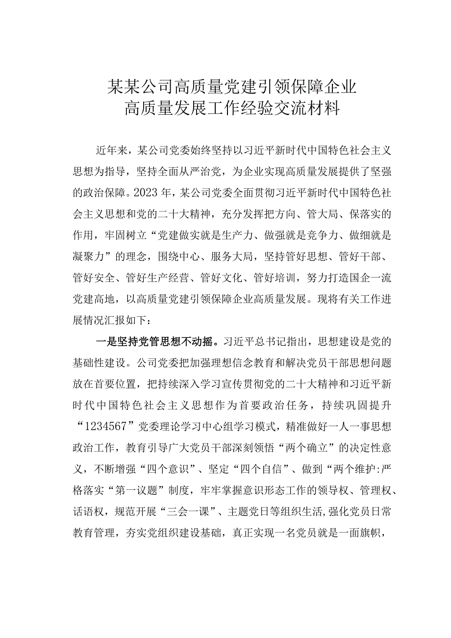 某某公司高质量党建引领保障企业高质量发展工作经验交流材料.docx_第1页