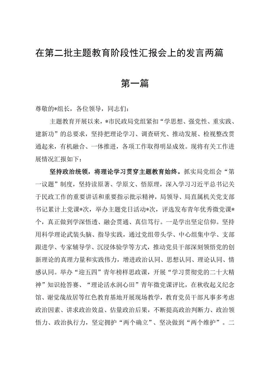 在第二批主题教育阶段性汇报会上的发言两篇.docx_第1页