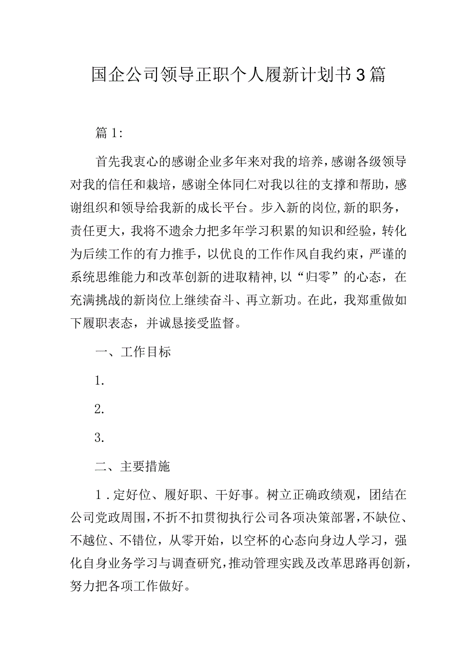 国企公司领导正职个人履新计划书3篇.docx_第1页