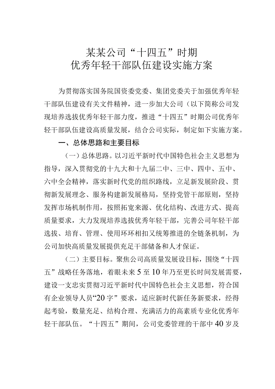 某某公司“十四五”时期优秀年轻干部队伍建设实施方案.docx_第1页