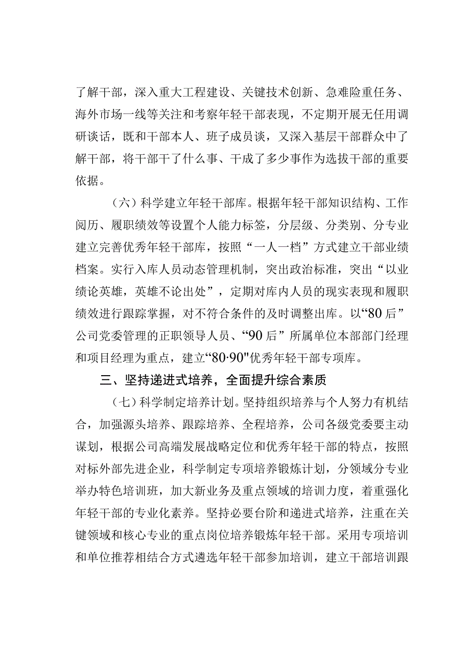 某某公司“十四五”时期优秀年轻干部队伍建设实施方案.docx_第3页