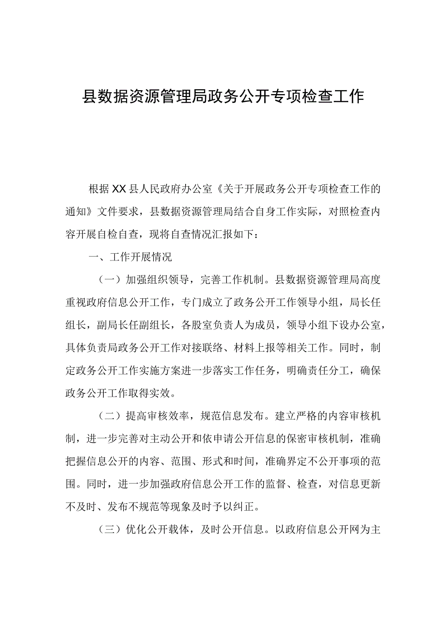 县数据资源管理局政务公开专项检查工作自查报告.docx_第1页