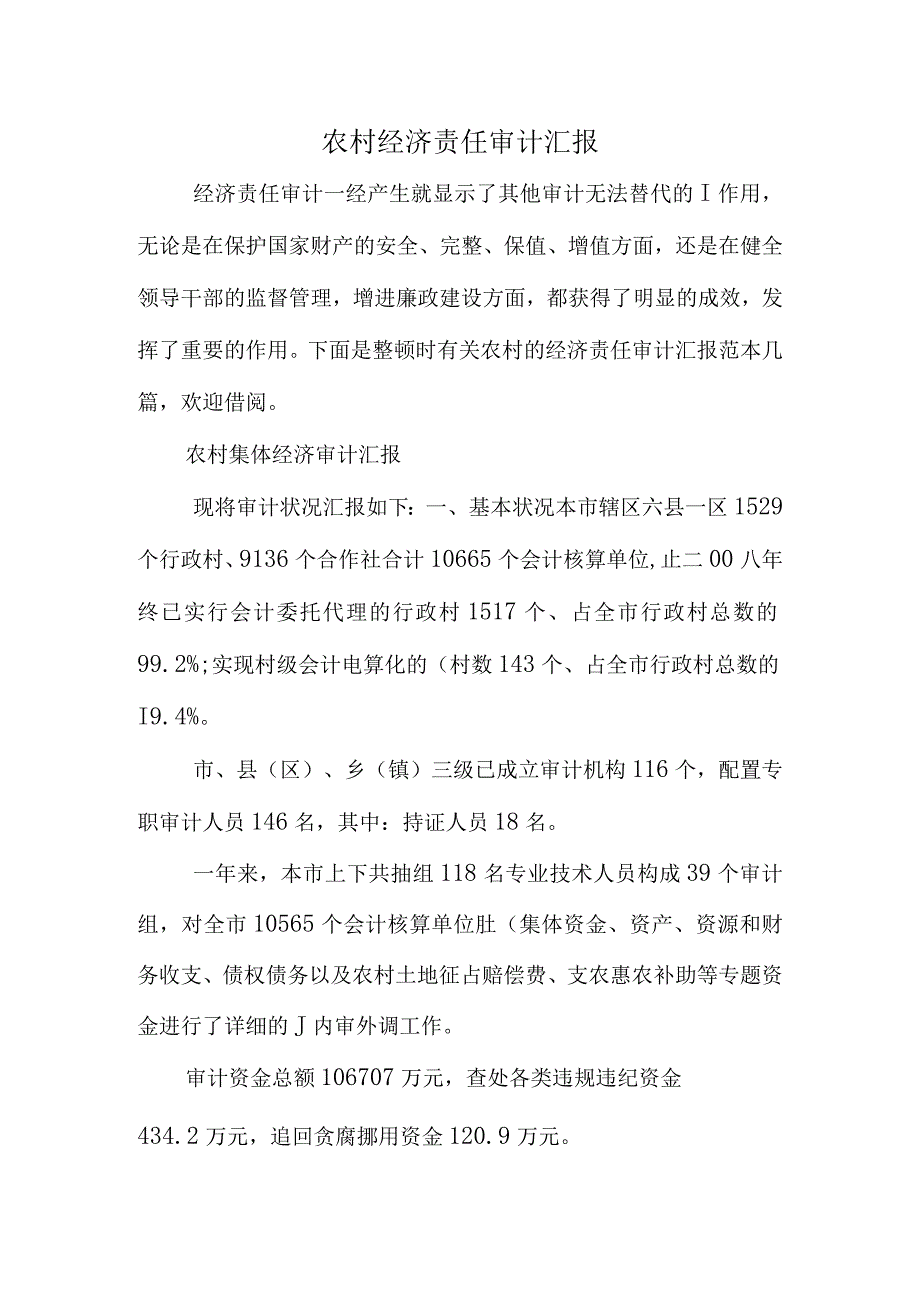 农村经济监督审计报告.docx_第1页