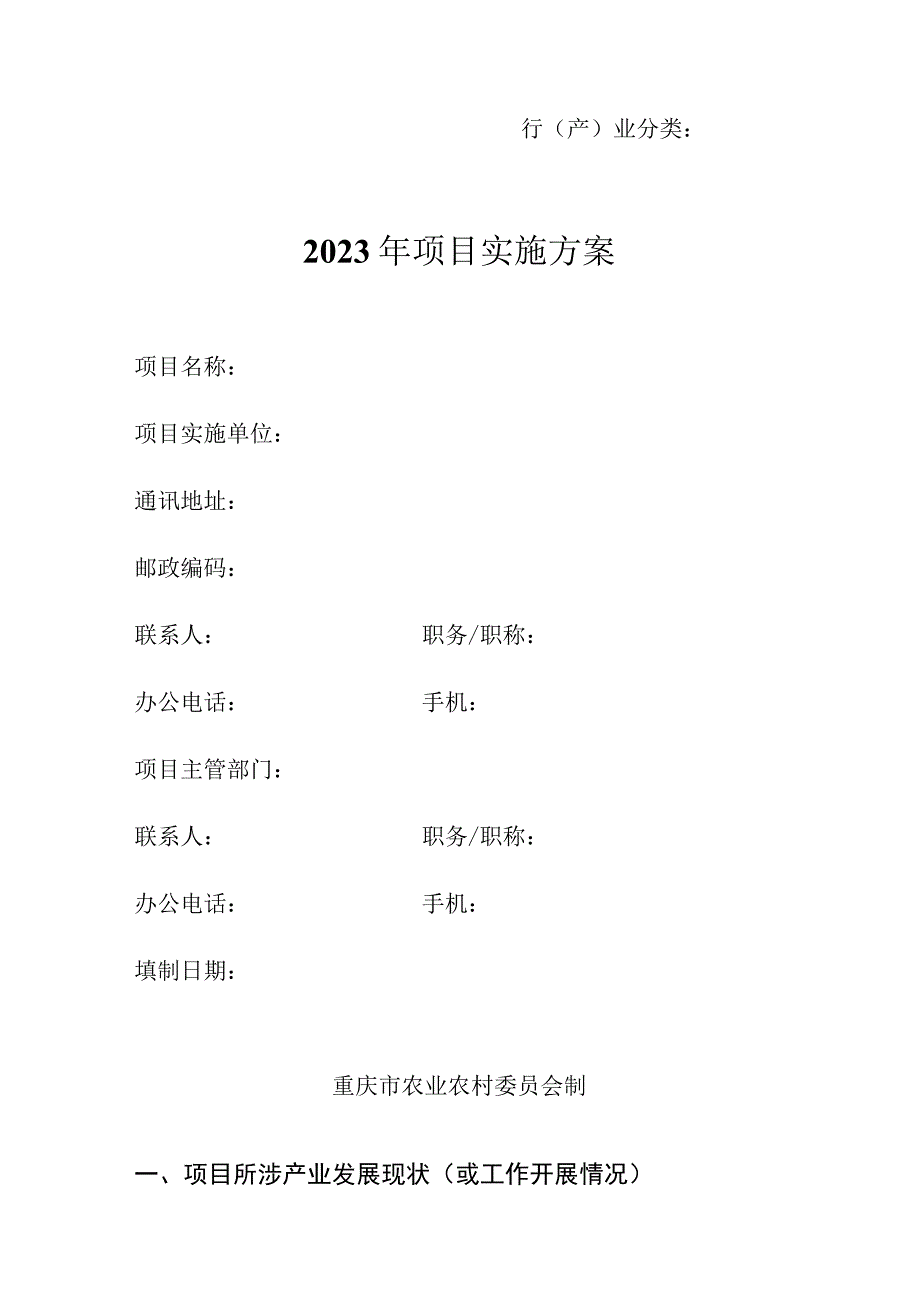 行产业分类2023年＿＿＿＿项目实施方案.docx_第1页