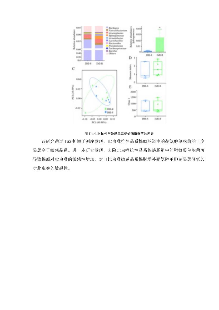 中国农大梁沛教授团队在棉蚜对吡虫啉的抗性研究方面取得进展.docx_第2页