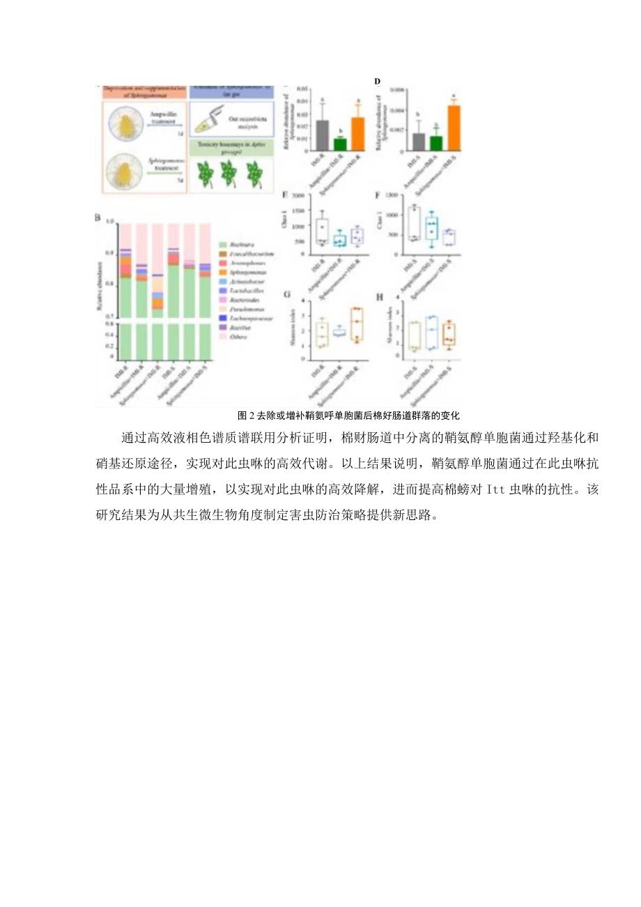 中国农大梁沛教授团队在棉蚜对吡虫啉的抗性研究方面取得进展.docx_第3页