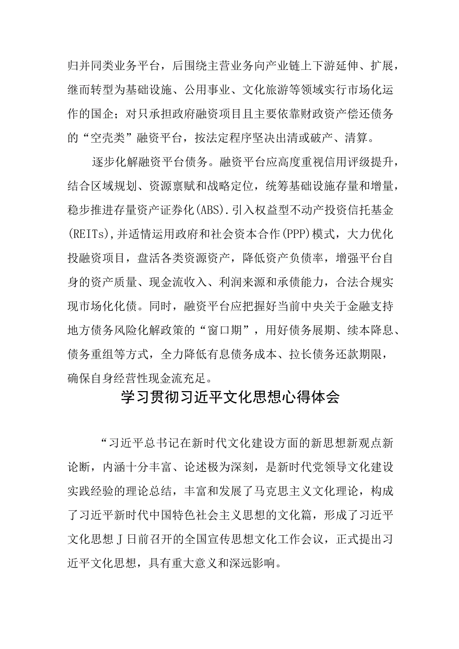 做好地方政府融资平台市场化转型工作心得体会发言.docx_第3页