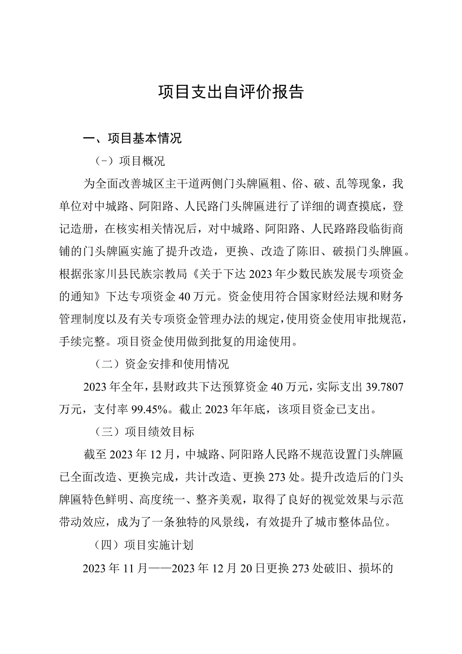 财政项目支出绩效自评价报告.docx_第2页