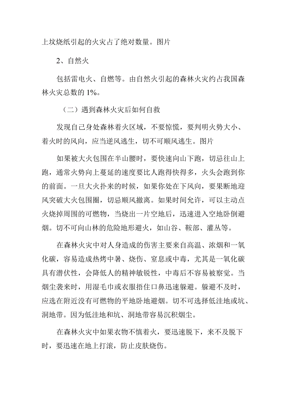 中学关于森林防火、防溺水及防甲流安全教育致家长的一封信.docx_第2页