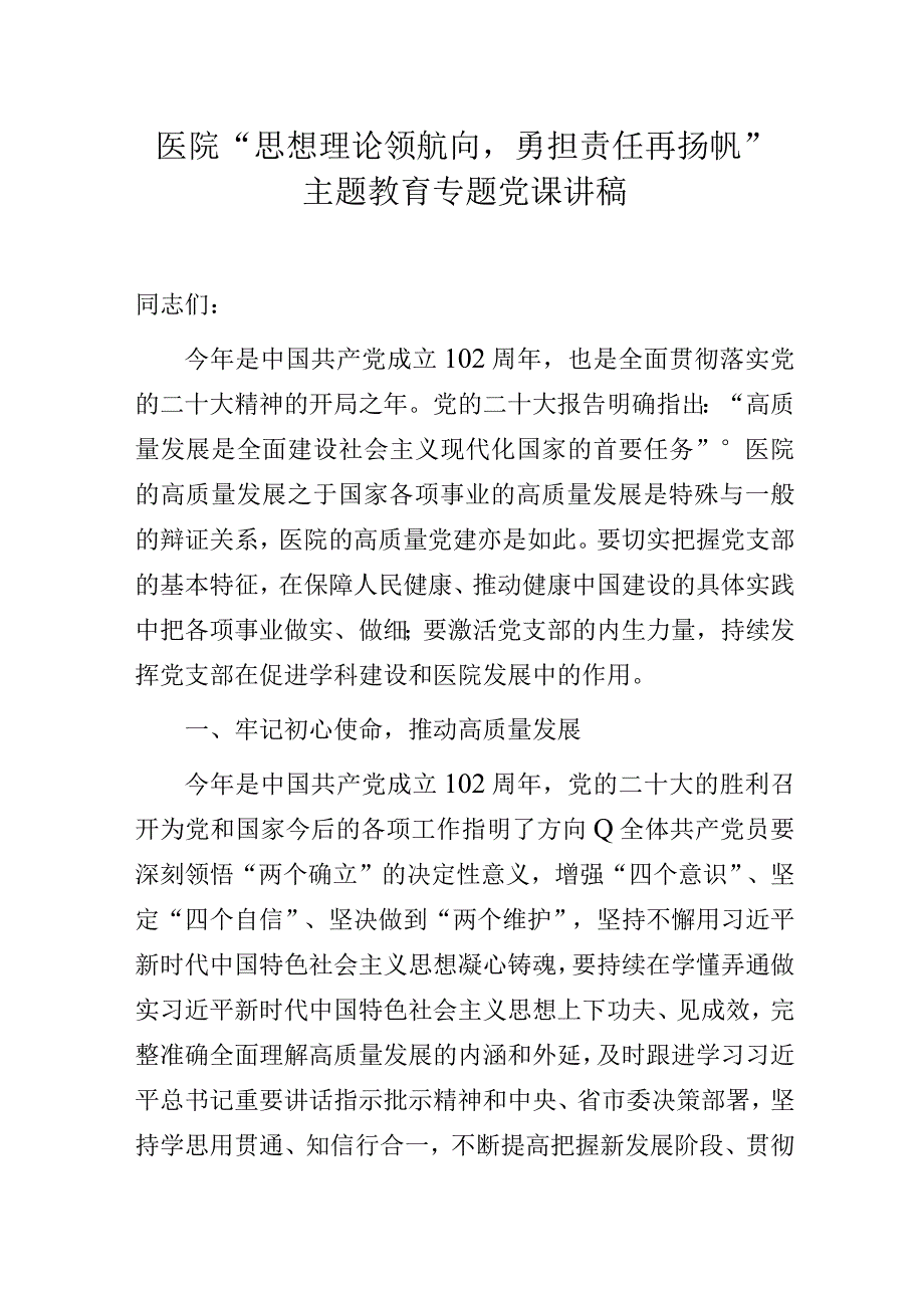 医院“思想理论领航向勇担责任再扬帆”主题教育专题党课讲稿.docx_第1页