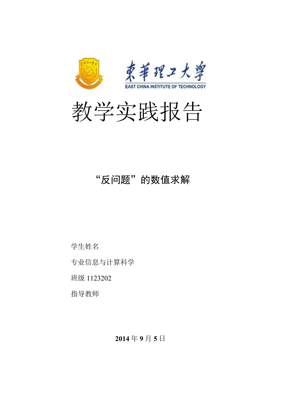 专题软件开发实践报告.docx_第1页