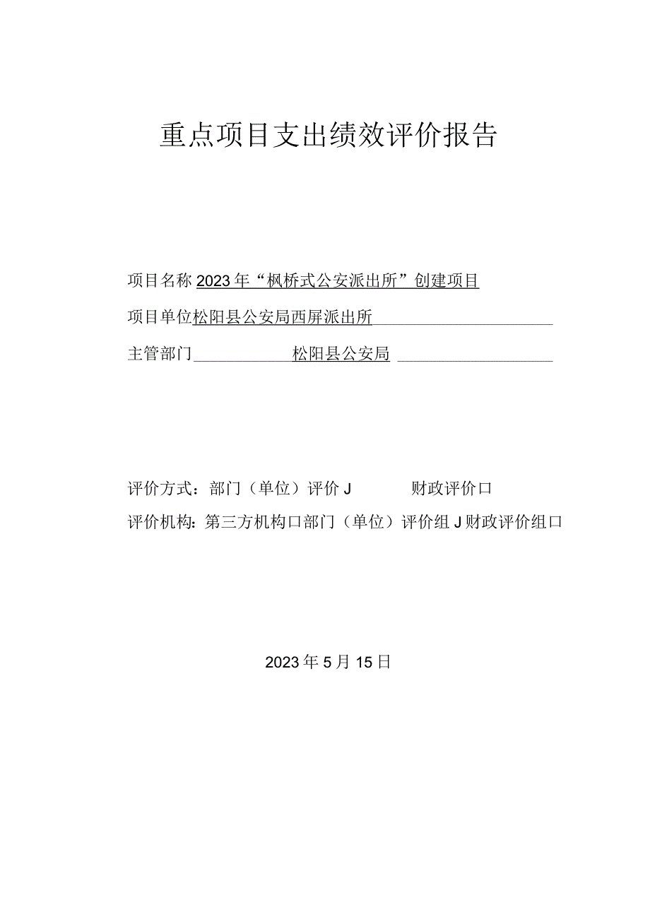 重点项目支出绩效评价报告.docx_第1页