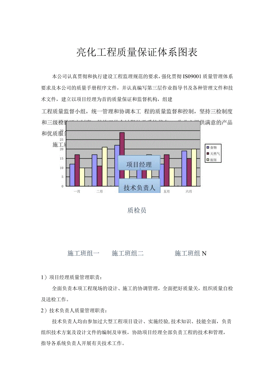 亮化工程质量保证体系图表.docx_第1页