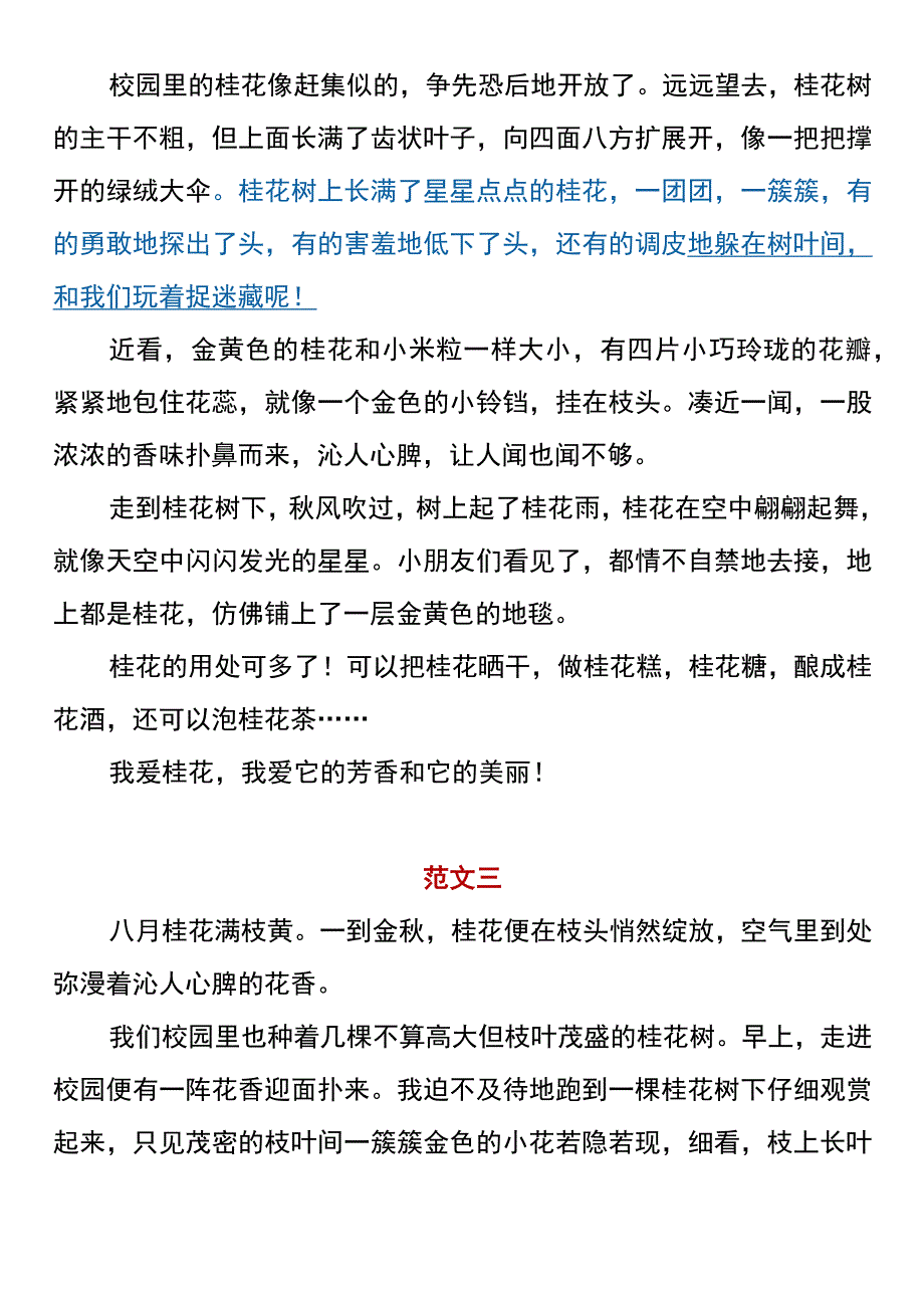 五年级写作素材 《美丽的桂花》精选范文.docx_第2页