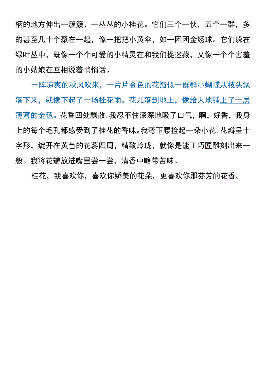 五年级写作素材 《美丽的桂花》精选范文.docx_第3页