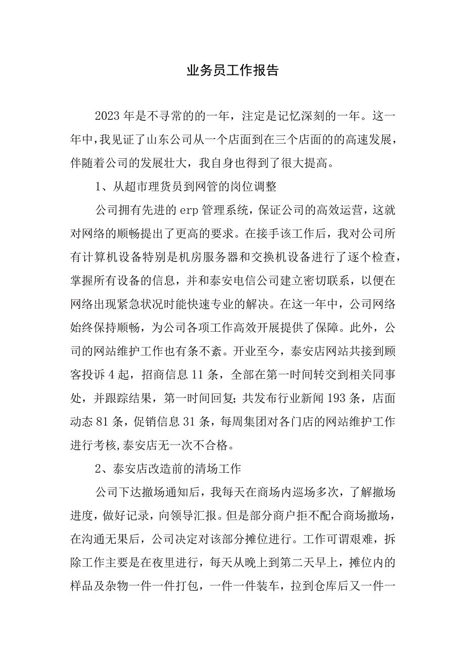 业务员工作报告.docx_第1页