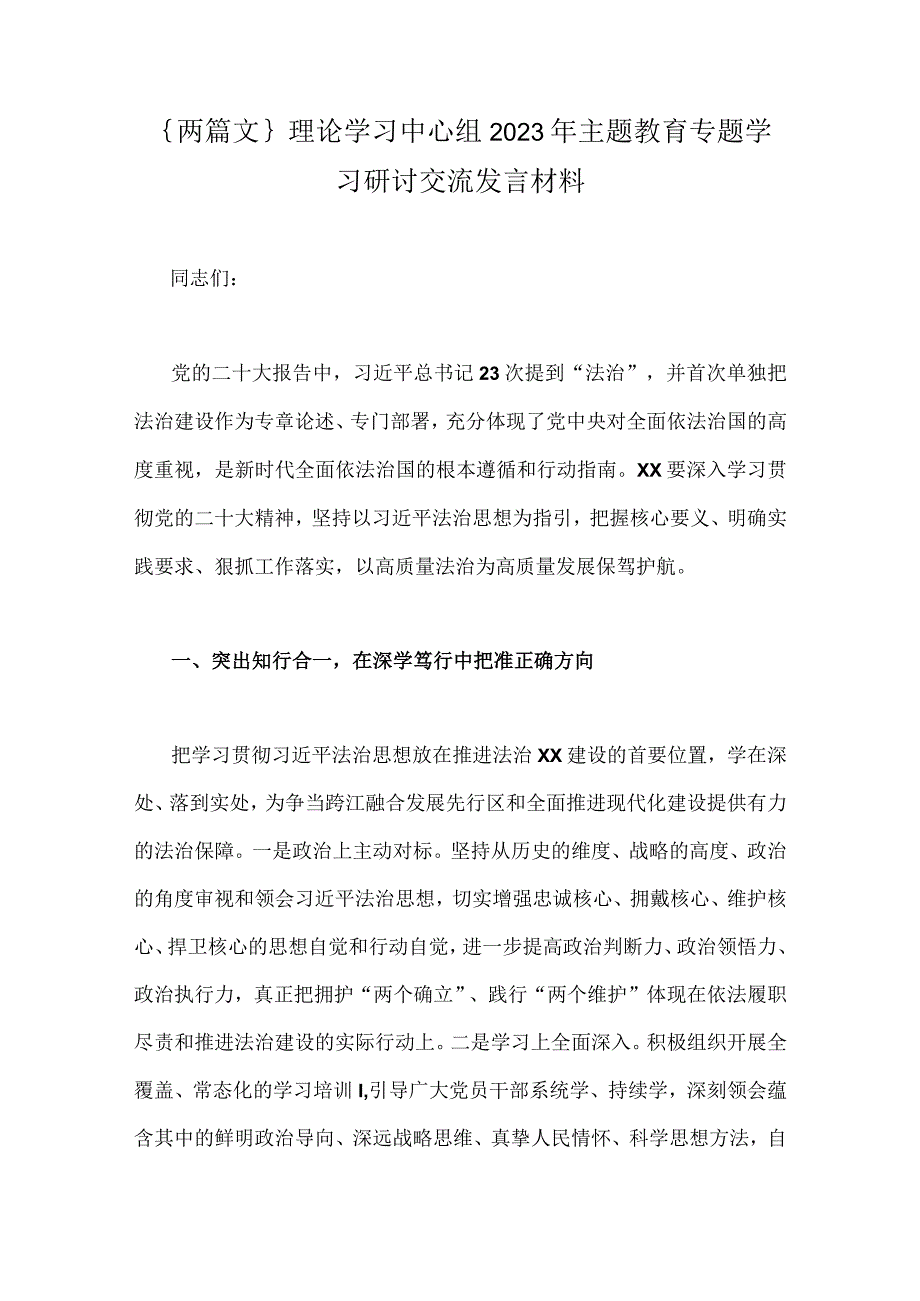 ｛两篇文｝理论学习中心组2023年主题教育专题学习研讨交流发言材料.docx_第1页