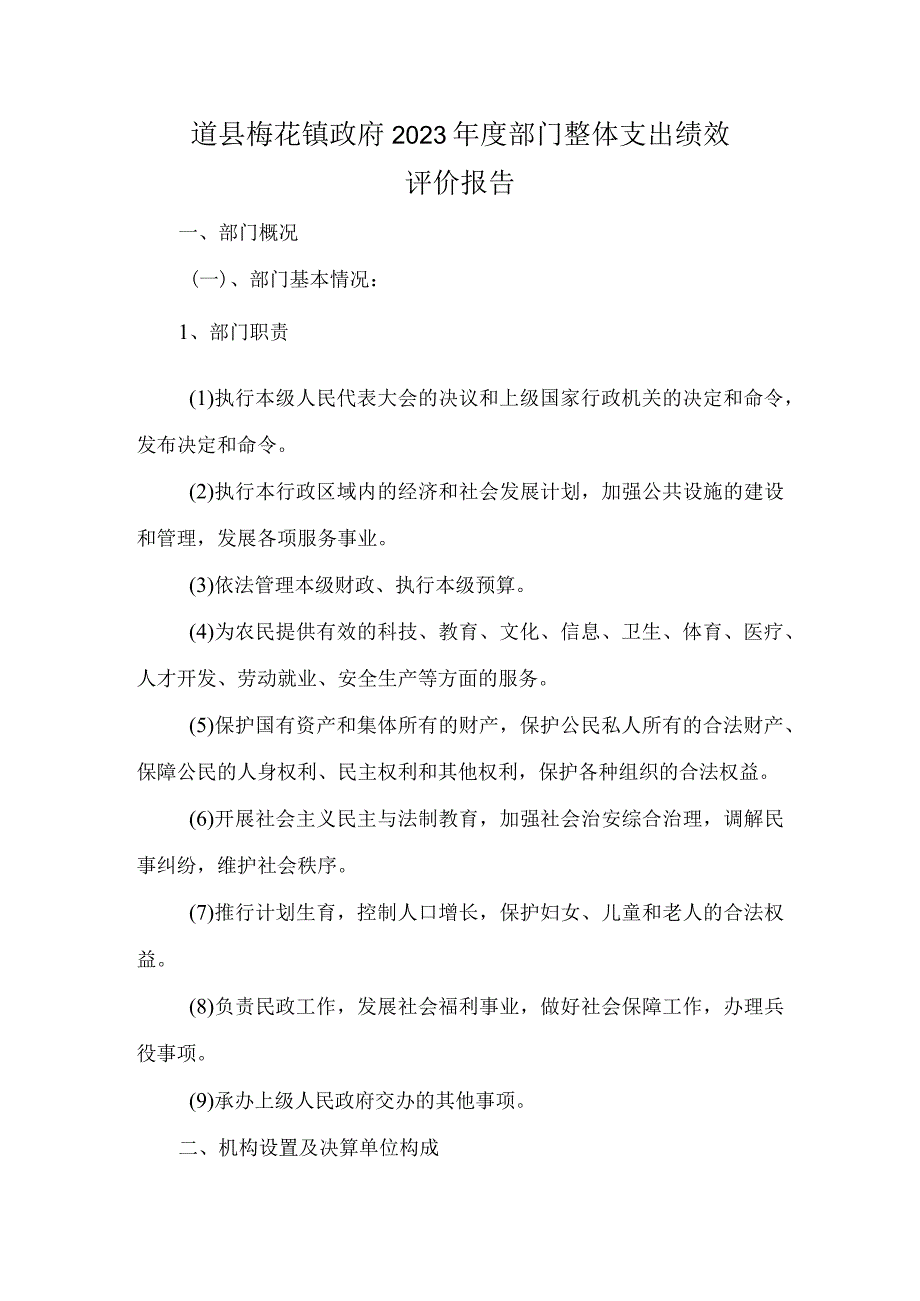 道县梅花镇政府2021年度部门整体支出绩效评价报告.docx_第1页