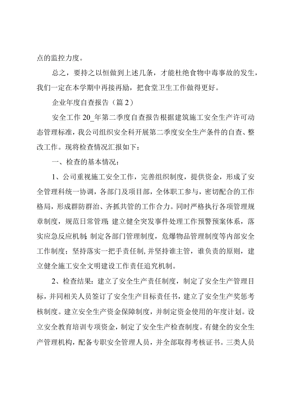 企业年度自查报告.docx_第2页