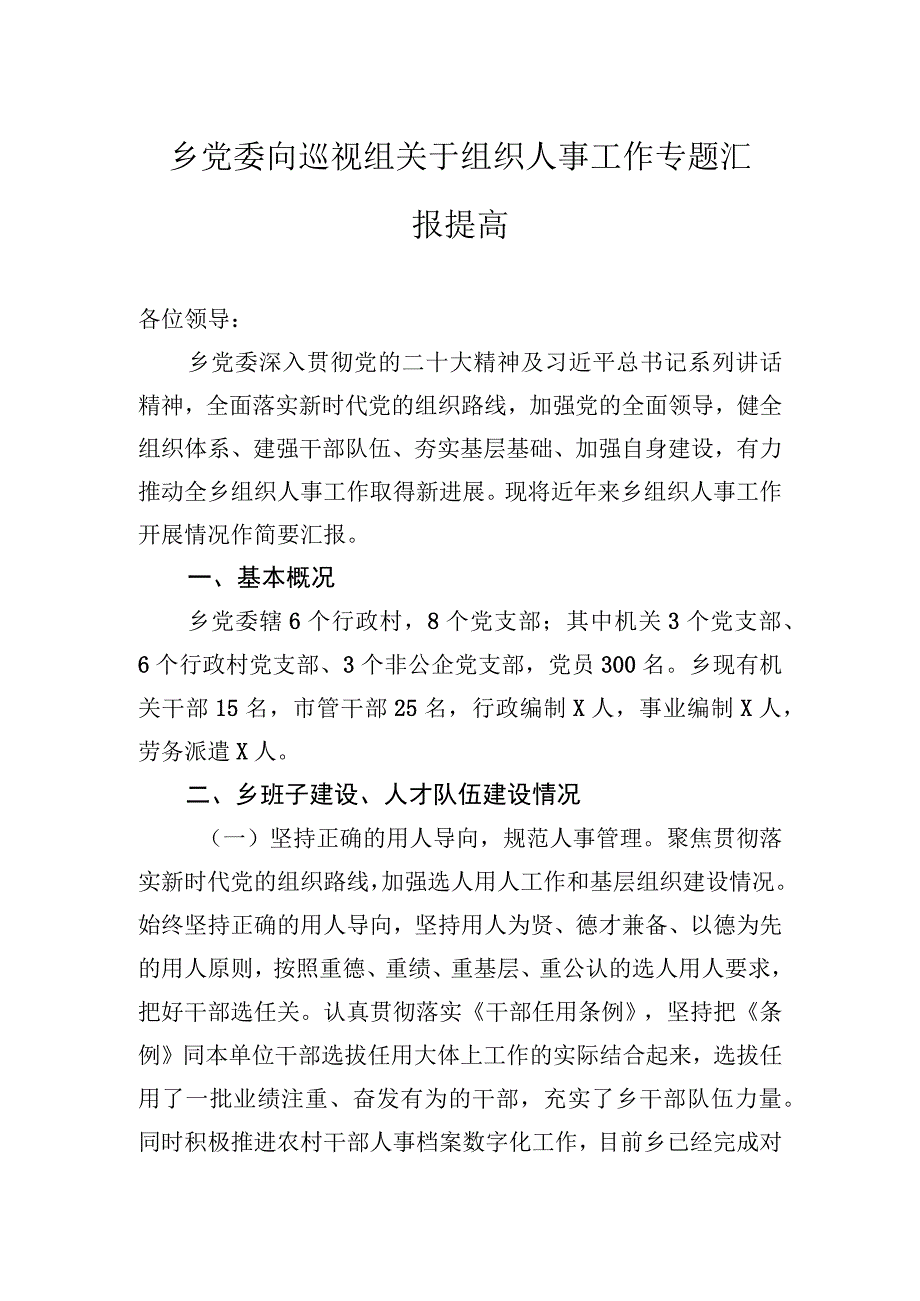 乡党委向巡视组关于组织人事工作专题汇报提高.docx_第1页